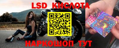 бошки Аргун