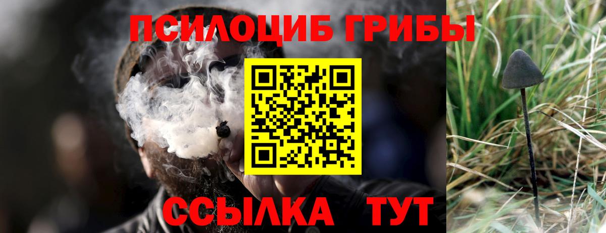 купить закладку  Галлюциногенные грибы Psilocybine cubensis  Асино  Вход с VPN  Галлюциногенные грибы мухоморы 